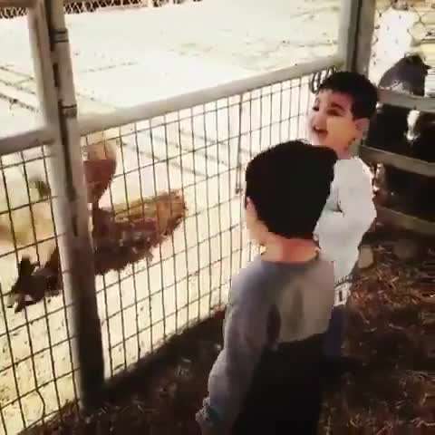 بچه را می برید باغ وحش مراقبشون باشید
